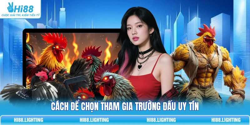 Đấu Trường Đá Gà - Quy Tắc Vận Hành Sân Chơi Trực Tuyến 4 Cách để chọn tham gia trường đấu uy tín