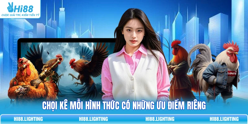 Đá Gà Cựa Tròn Là Gì? Đặc Điểm Của Hình Thức Thi Đấu 3 Chọi kê mỗi hình thức có những ưu điểm riêng