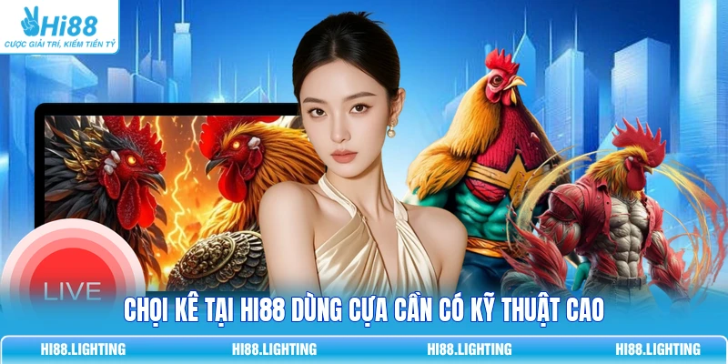 Đá Gà Cựa Tròn Là Gì? Đặc Điểm Của Hình Thức Thi Đấu 4 Chọi kê tại Hi88 dùng cựa cần có kỹ thuật cao