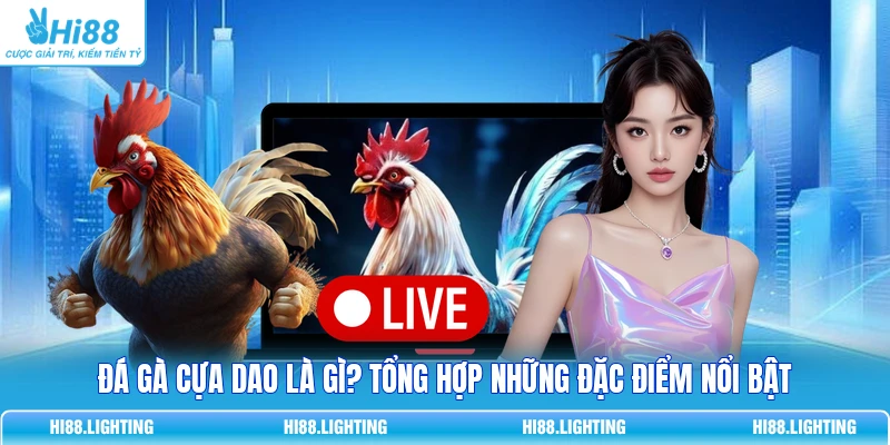 Đá Gà Cựa Dao - Đặc Điểm Của Loại Hình Giải Trí Hấp Dẫn 3 Đá Gà Cựa Dao - Đặc Điểm Của Loại Hình Giải Trí Hấp Dẫn