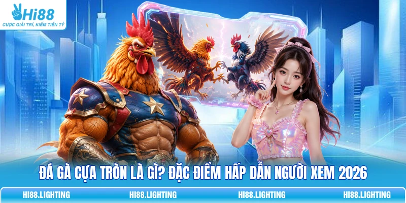 Đá Gà Cựa Tròn Là Gì? Đặc Điểm Của Hình Thức Thi Đấu 1 Đá Gà Cựa Tròn Là Gì? Đặc Điểm Hấp Dẫn Người Xem 2026