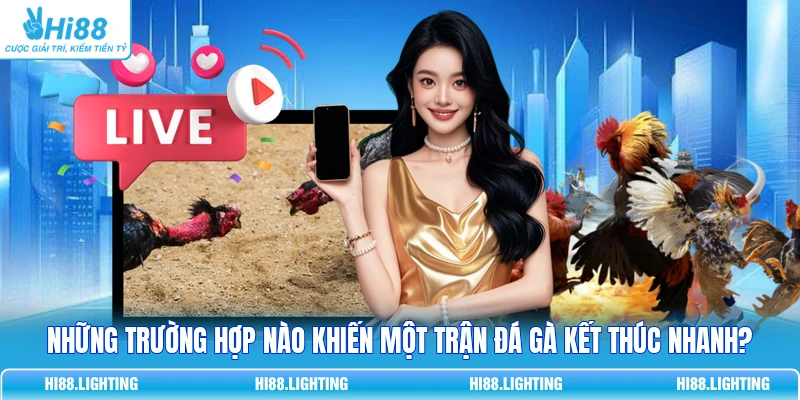Tình Huống Khiến Trận Đấu Đá Gà Trực Tuyến Kết Thúc? 7 Tình Huống Khiến Trận Đấu Đá Gà Trực Tuyến Kết Thúc?