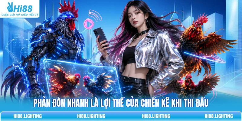 Đá Gà Cựa Dao - Đặc Điểm Của Loại Hình Giải Trí Hấp Dẫn 4 Phản đòn nhanh là lợi thế của chiến kê khi thi đấu